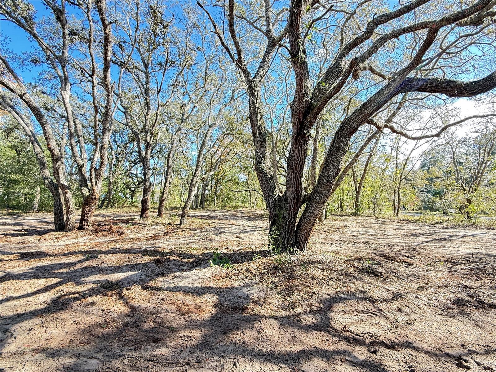 Image 4 of 8 For 131 Massachusetts Street