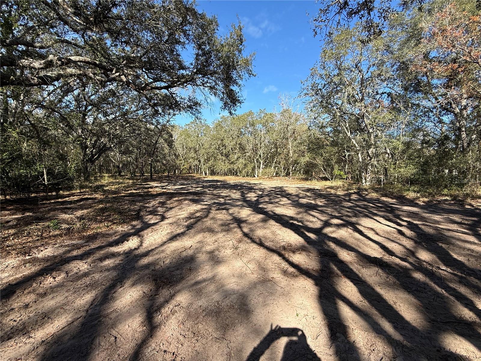 Image 5 of 8 For 131 Massachusetts Street