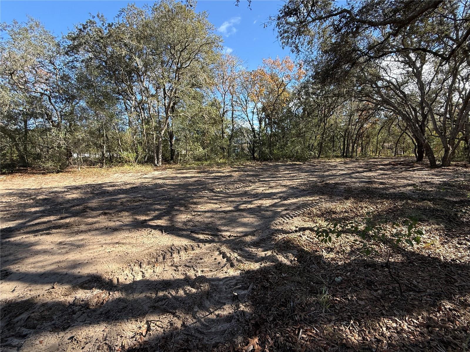 Image 6 of 8 For 131 Massachusetts Street