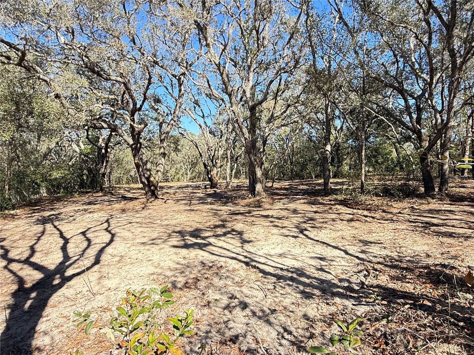 Image 7 of 8 For 131 Massachusetts Street