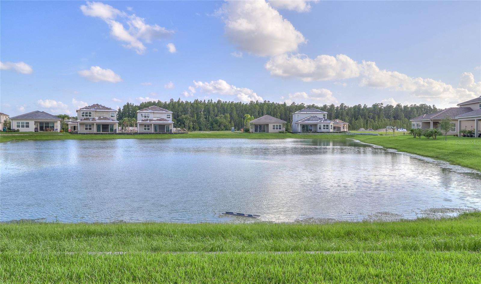 Image 39 of 55 For 31045 Lindentree Drive