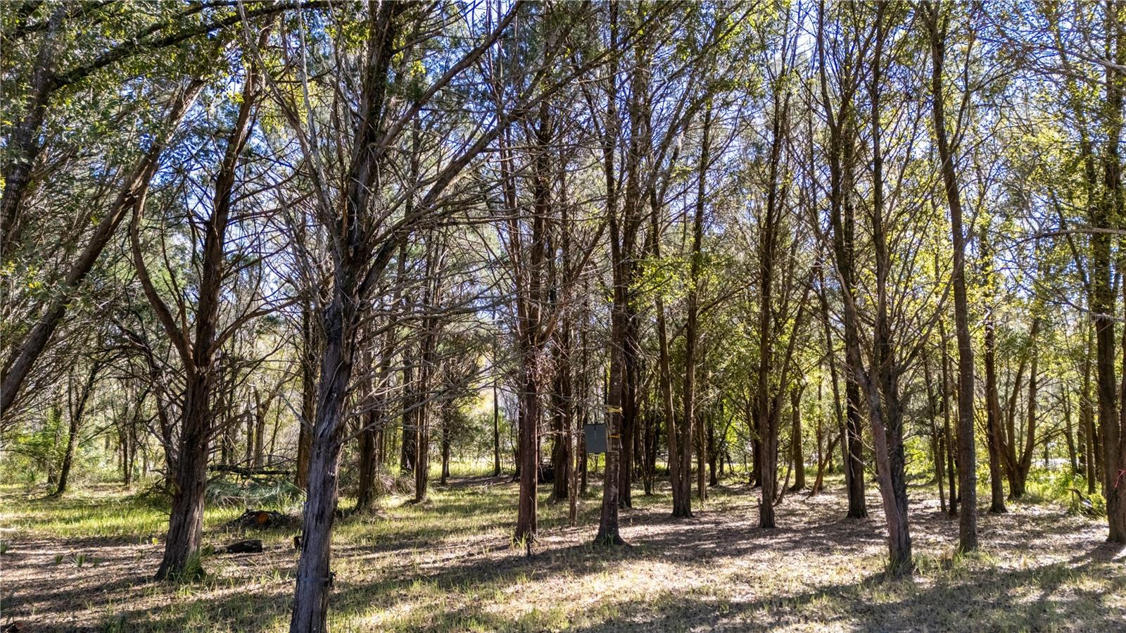 Image 14 of 18 For 4539 Cobb Road