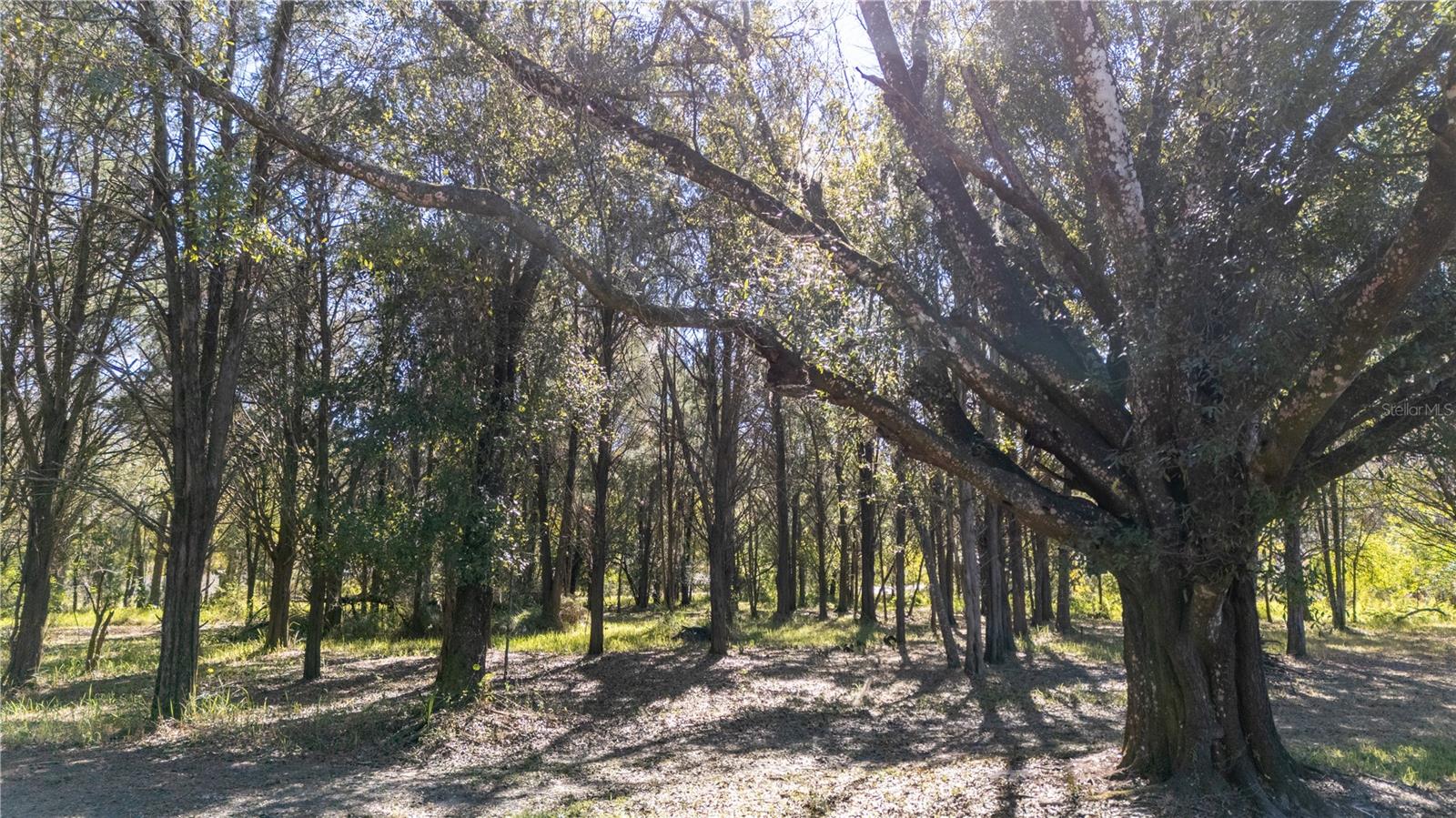 Image 15 of 18 For 4539 Cobb Road