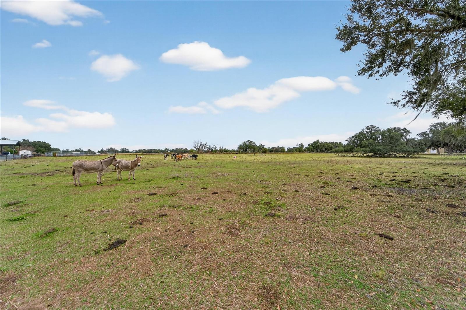 Image 36 of 38 For Horseshoe Hills Place