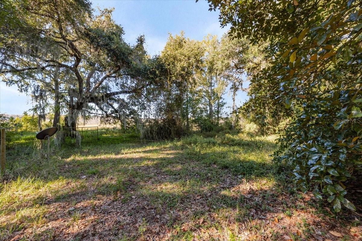 Image 36 of 37 For 9510 Oak Court