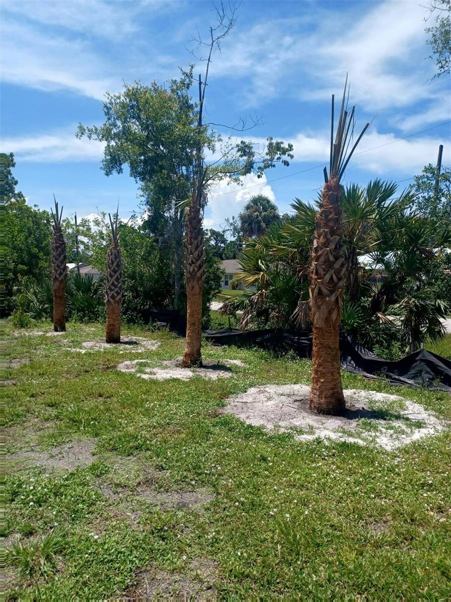 Image 3 of 5 For Lin Gina Terrace