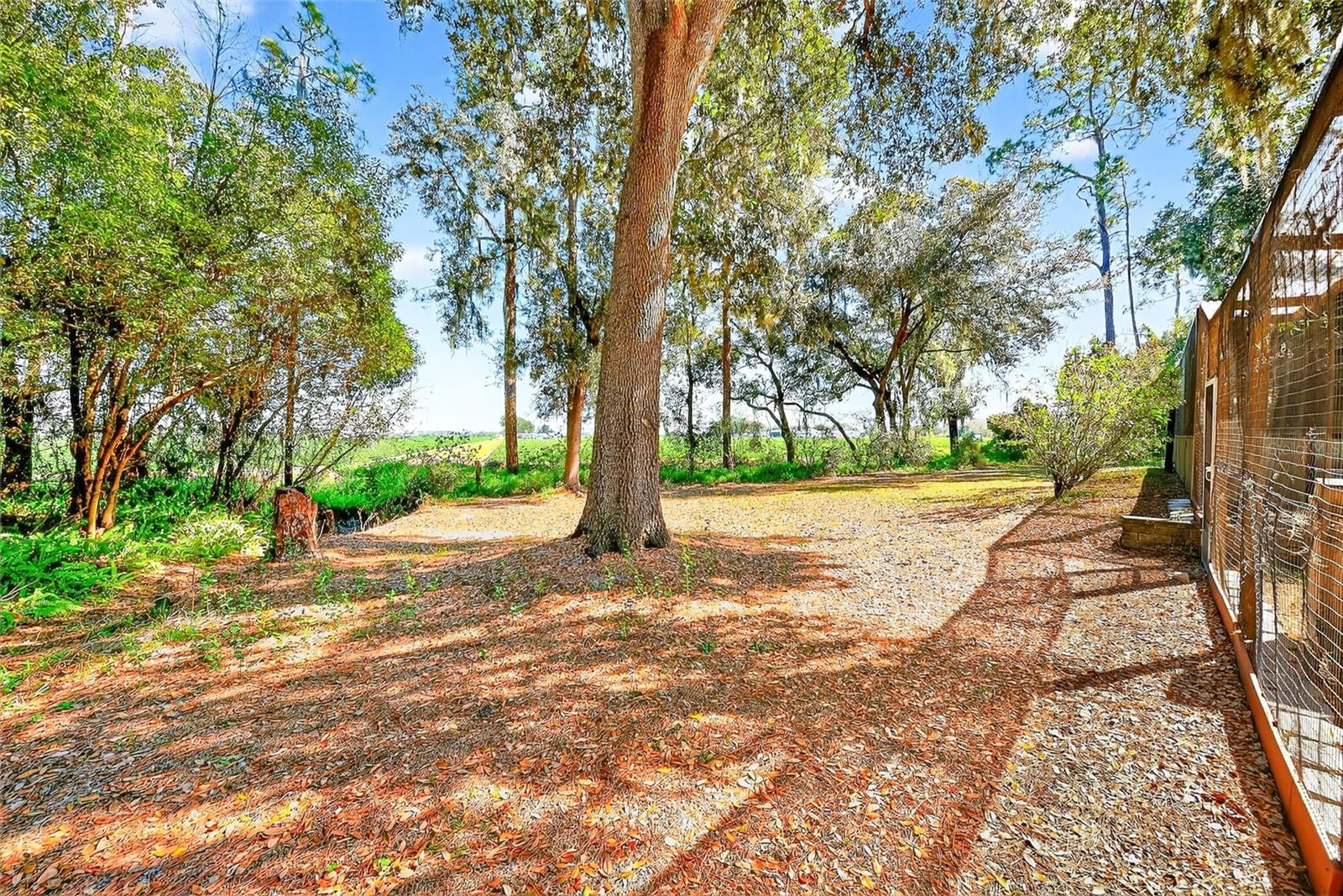 Image 65 of 84 For 2635 Dover Road