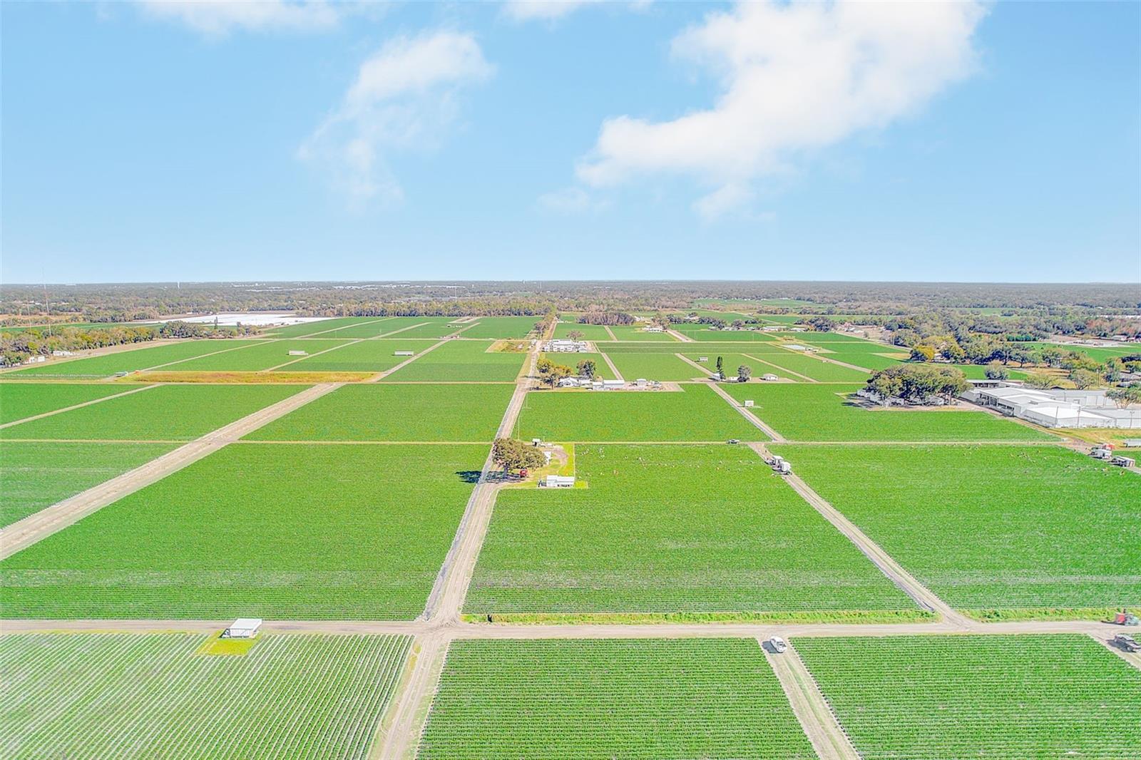 Image 84 of 84 For 2635 Dover Road