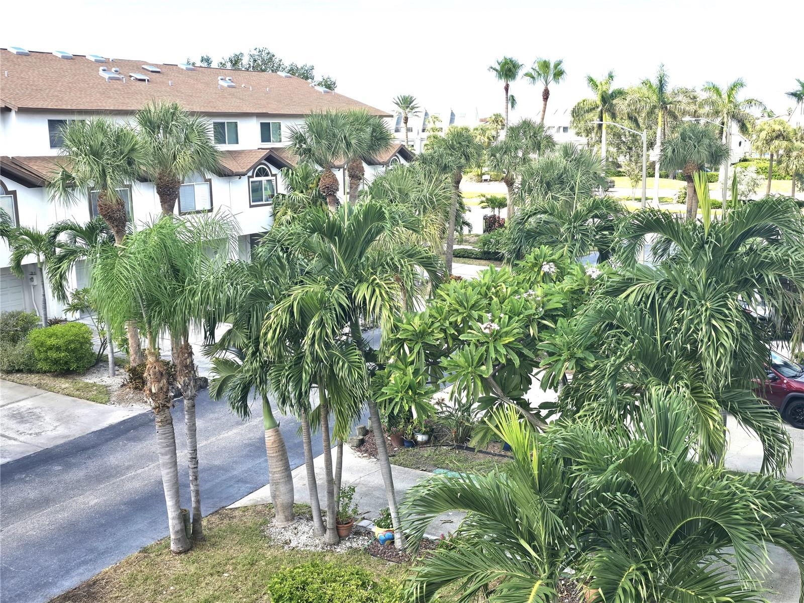 Image 16 of 26 For 346 Madeira Circle