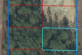 Details for Tbd 148th Court, WILLISTON, FL 32696