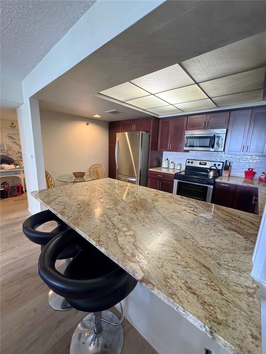 Image 9 of 39 For 1480 Gulf Boulevard 308