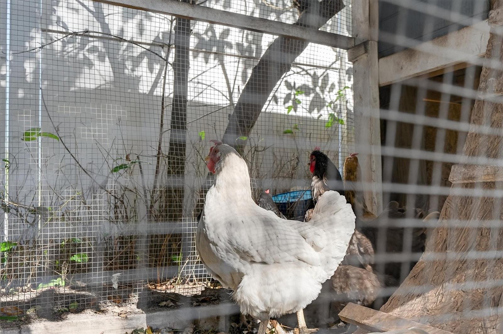 Listing photo id 45 for 88 Harbor Oaks Circle