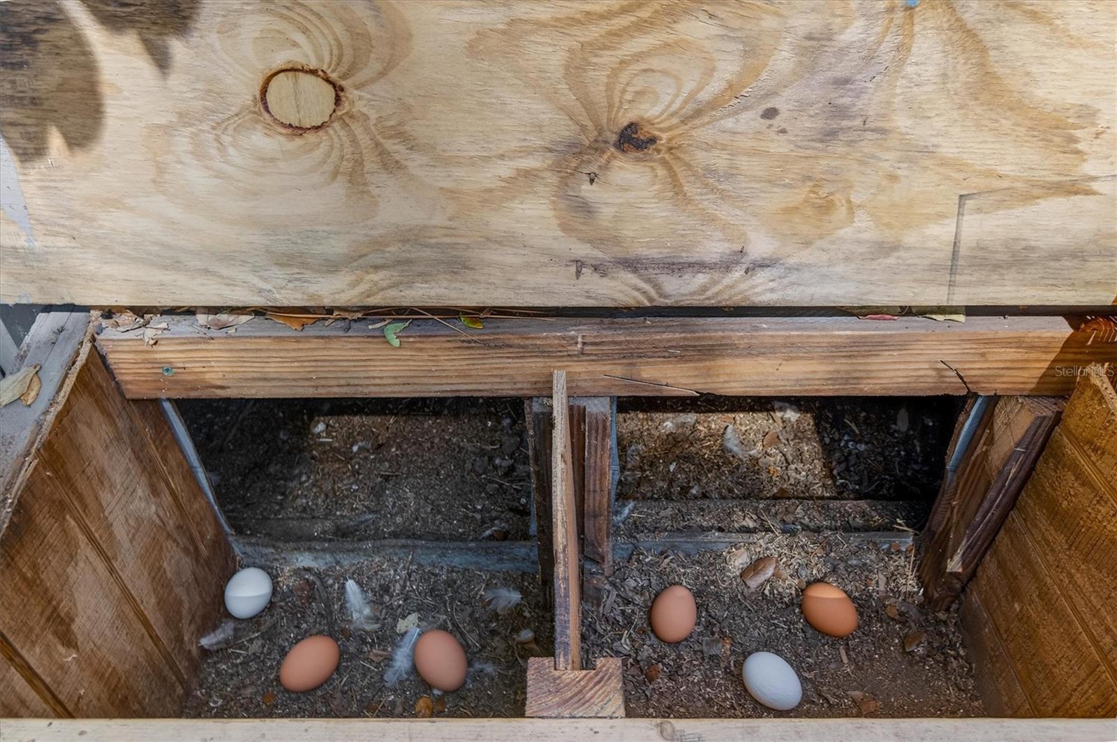 Listing photo id 46 for 88 Harbor Oaks Circle