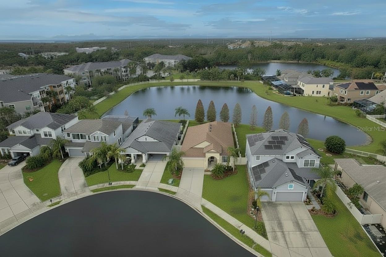 Details for 8010 Whitetail Deer Way, TAMPA, FL 33635