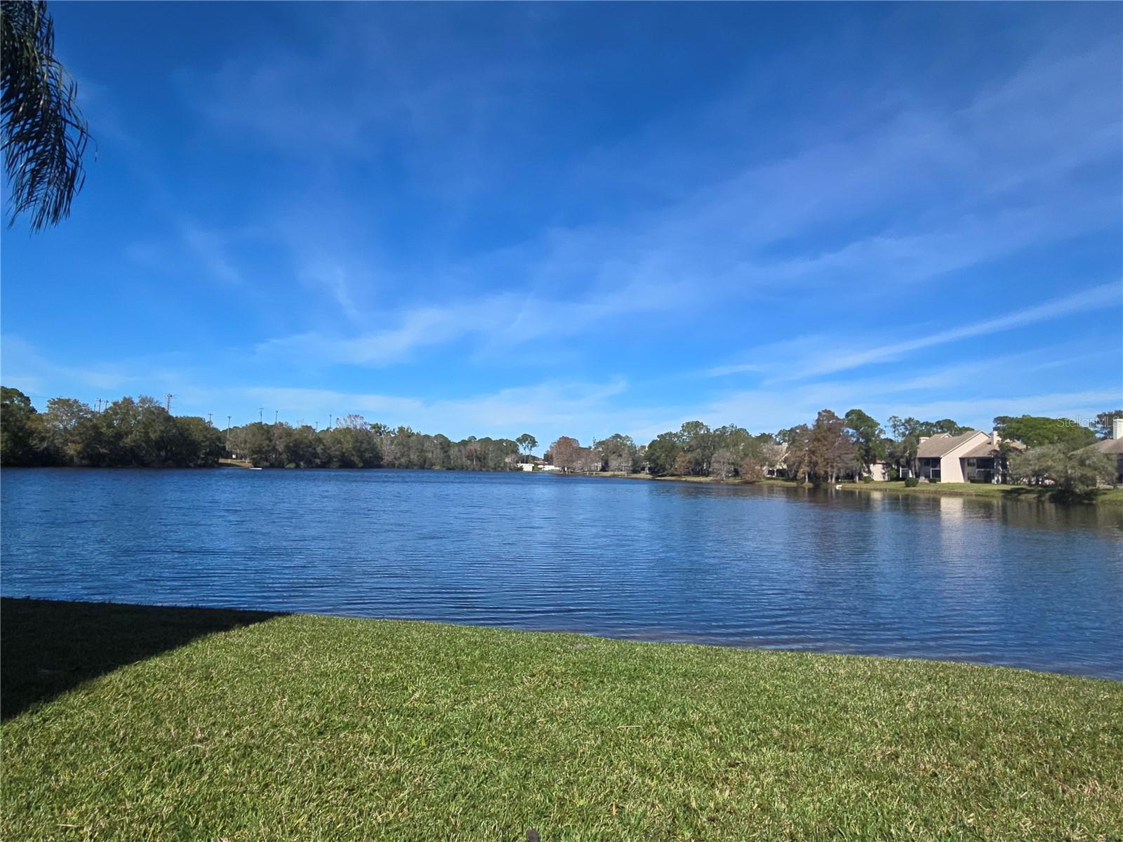 Image 23 of 24 For 2648 Sabal Springs Drive 6