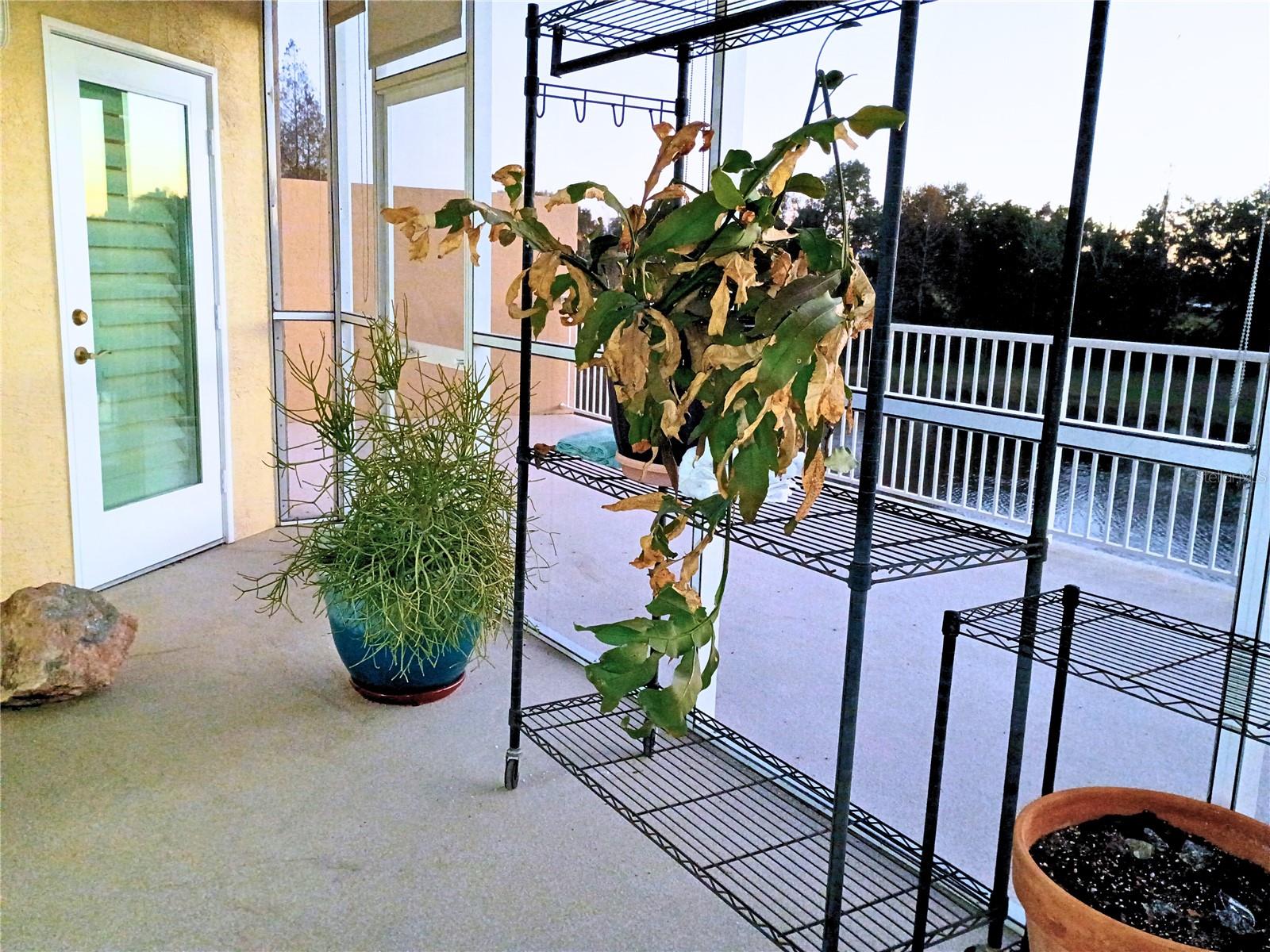 Image 33 of 49 For 960 Starkey Road 8106