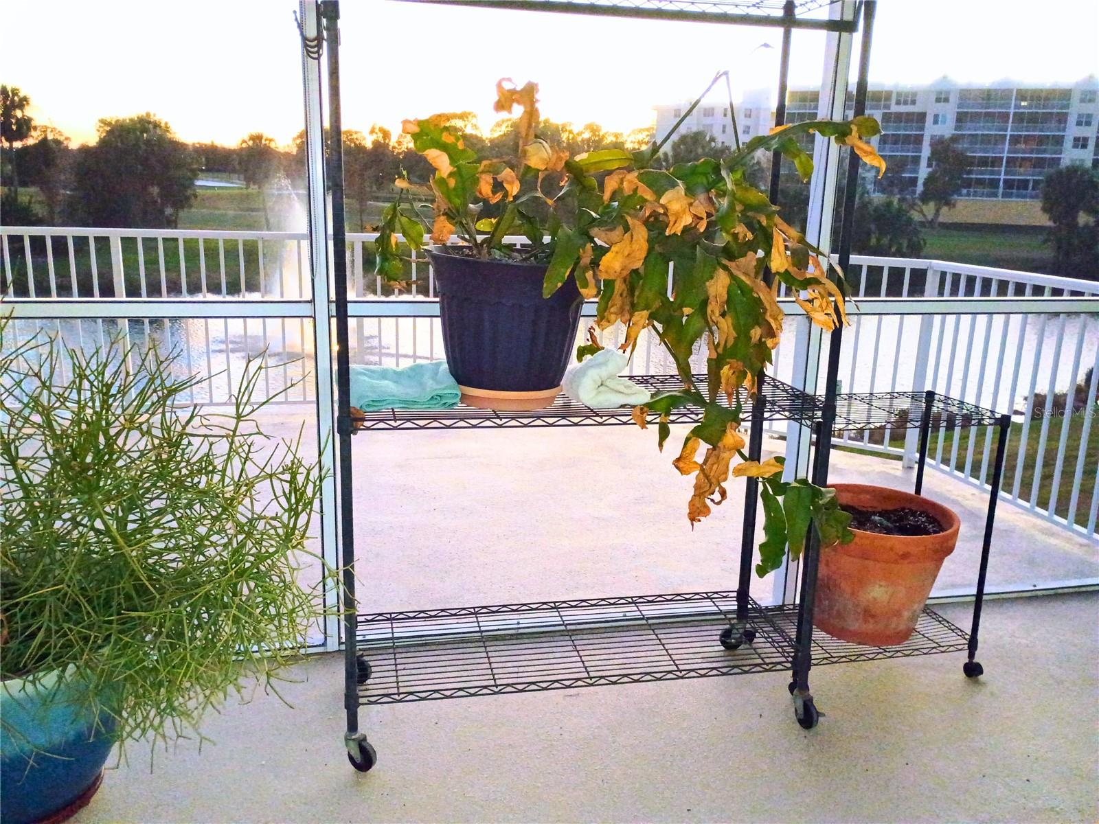 Image 34 of 49 For 960 Starkey Road 8106