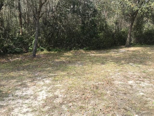 Image 32 of 34 For 1135 Baronscourt Drive