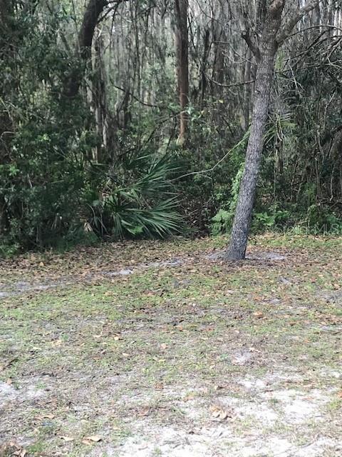 Image 34 of 34 For 1135 Baronscourt Drive