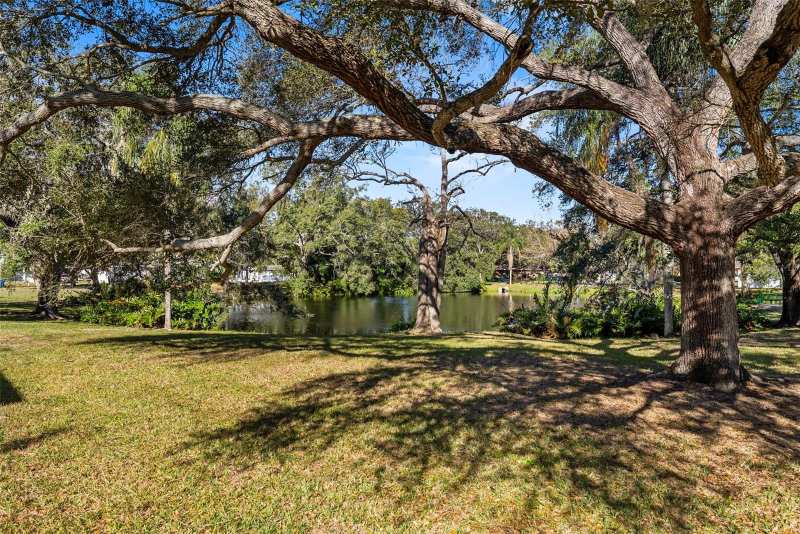 Image 15 of 17 For 546 Forest Parkway E