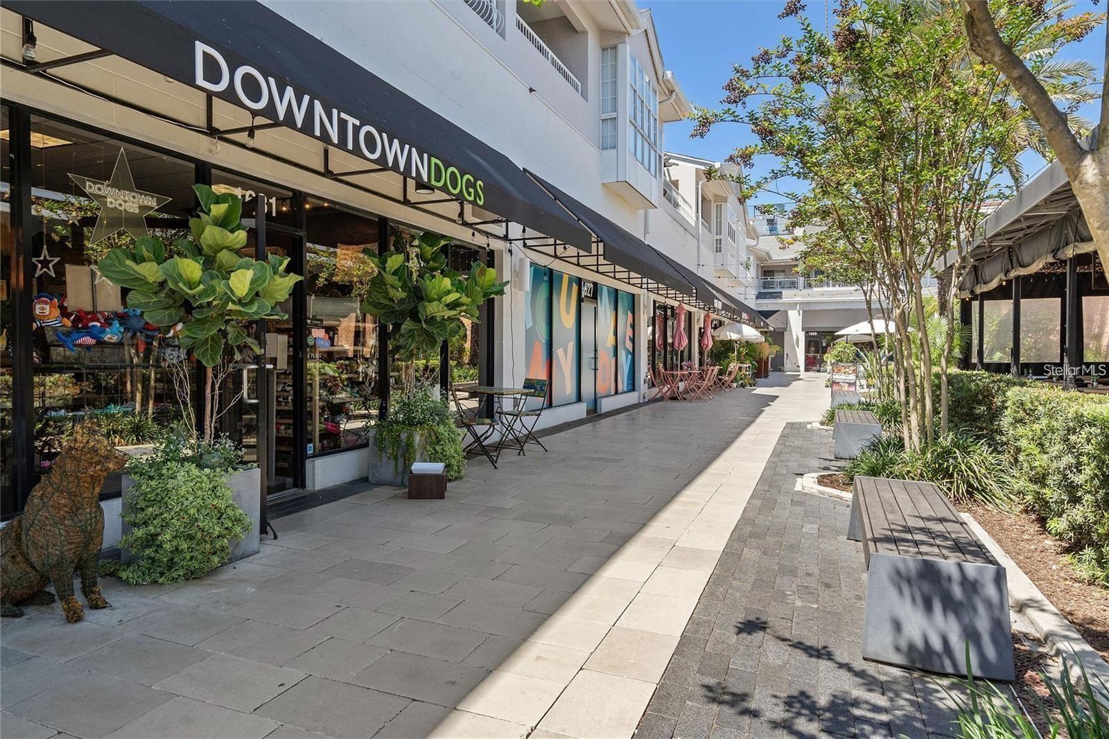 Image 27 of 31 For 1645 Snow Circle 205