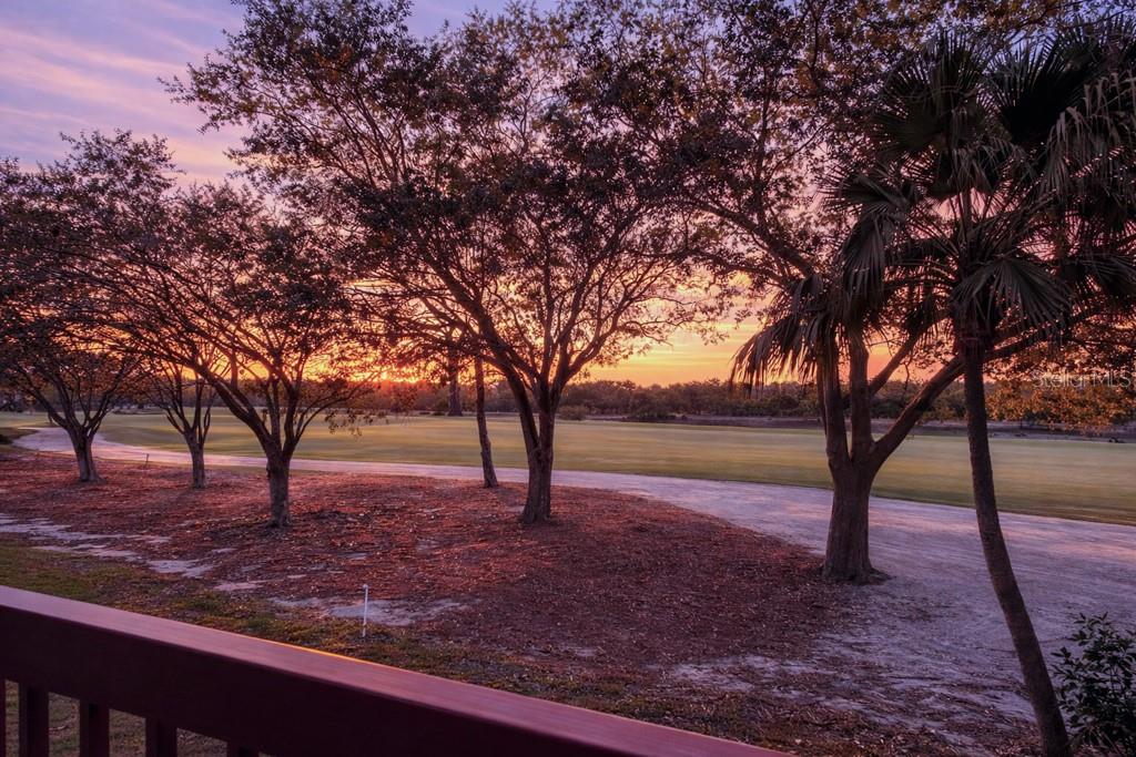 Image 21 of 21 For 2333 Feather Sound Drive A203