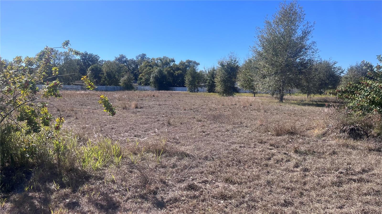 Image 5 of 5 For 13415 Cocopah Lane