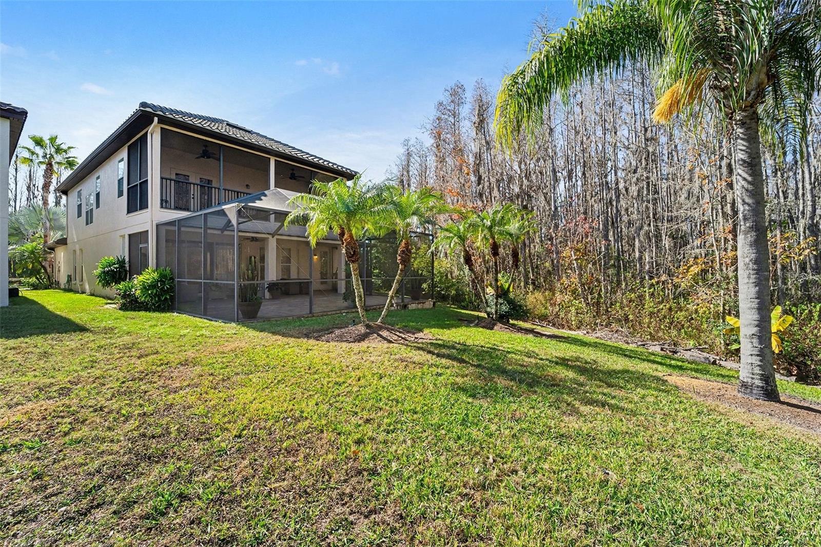 Image 11 of 35 For 10812 Cory Lake Drive