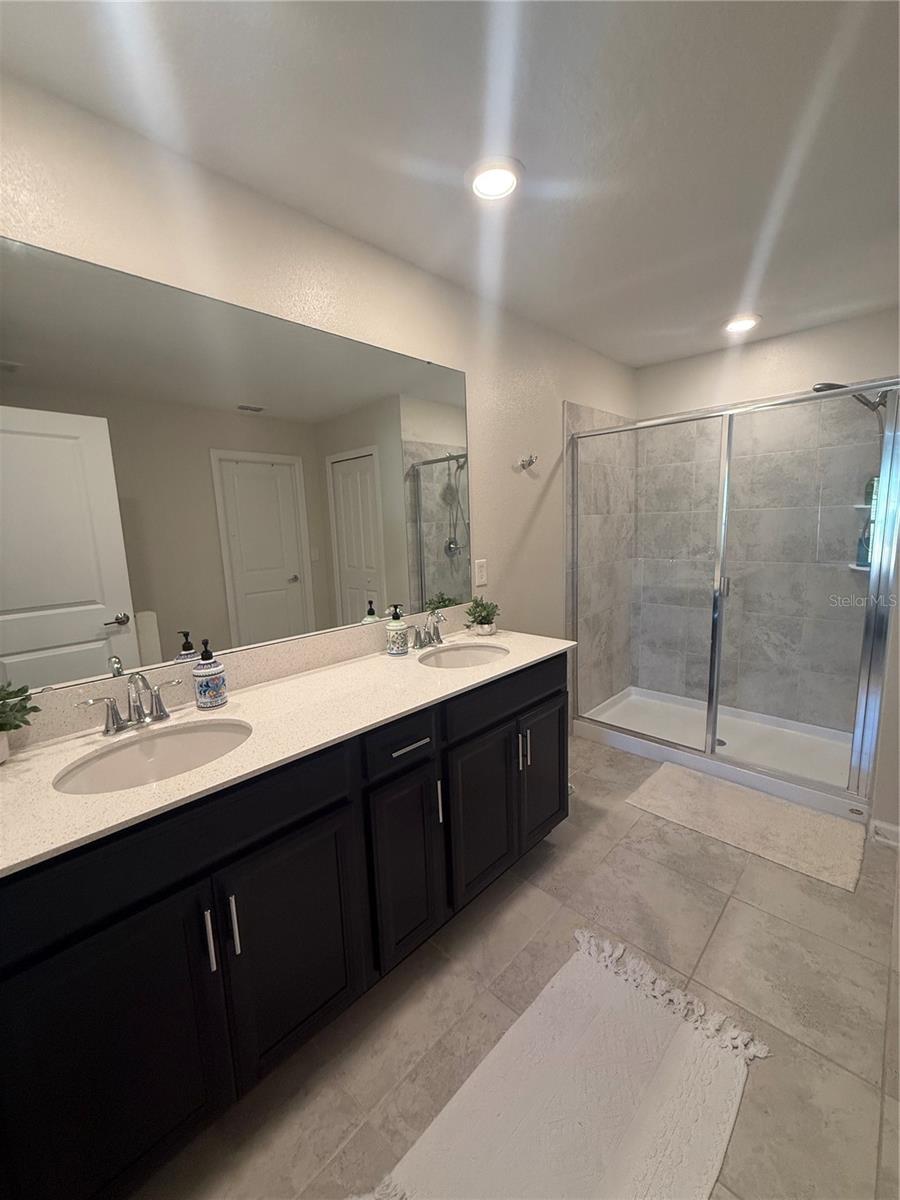 Image 10 of 23 For 4773 Magnetite Loop