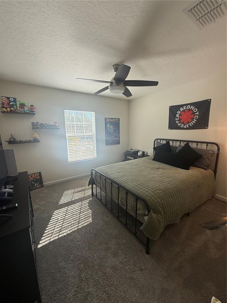 Image 14 of 23 For 4773 Magnetite Loop