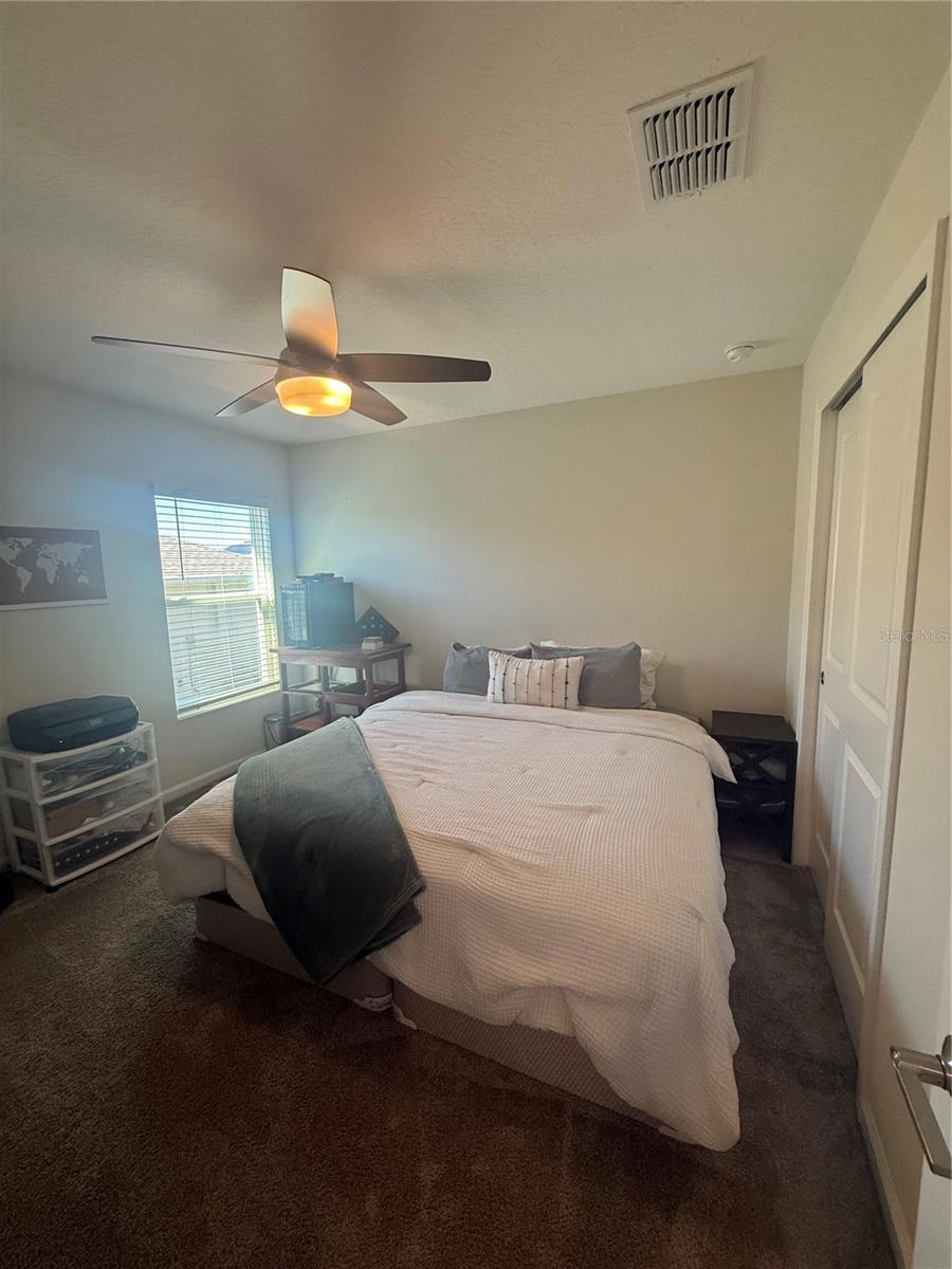 Image 16 of 23 For 4773 Magnetite Loop