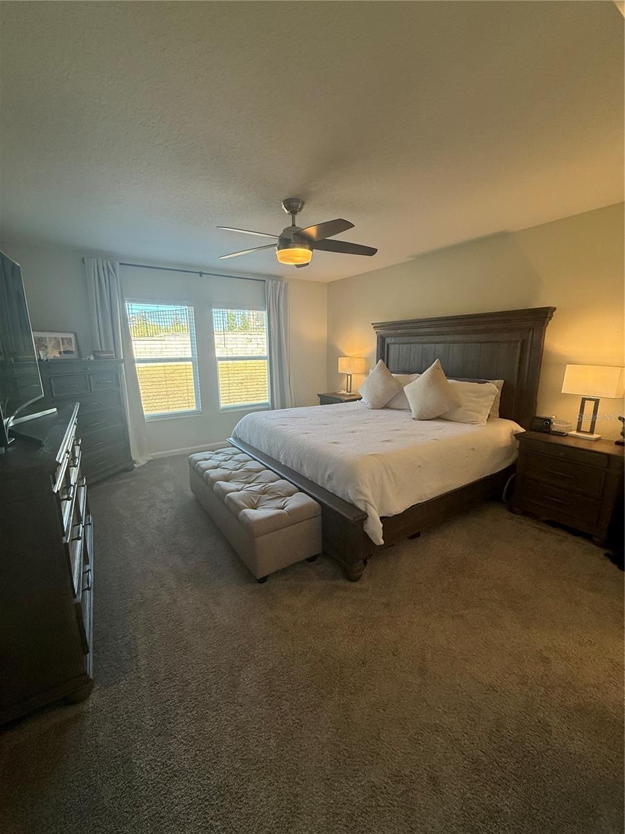 Image 9 of 23 For 4773 Magnetite Loop