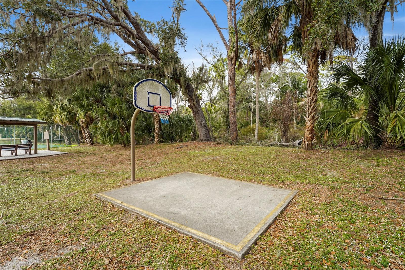 Image 59 of 67 For 3350 Chelmsford Court 13