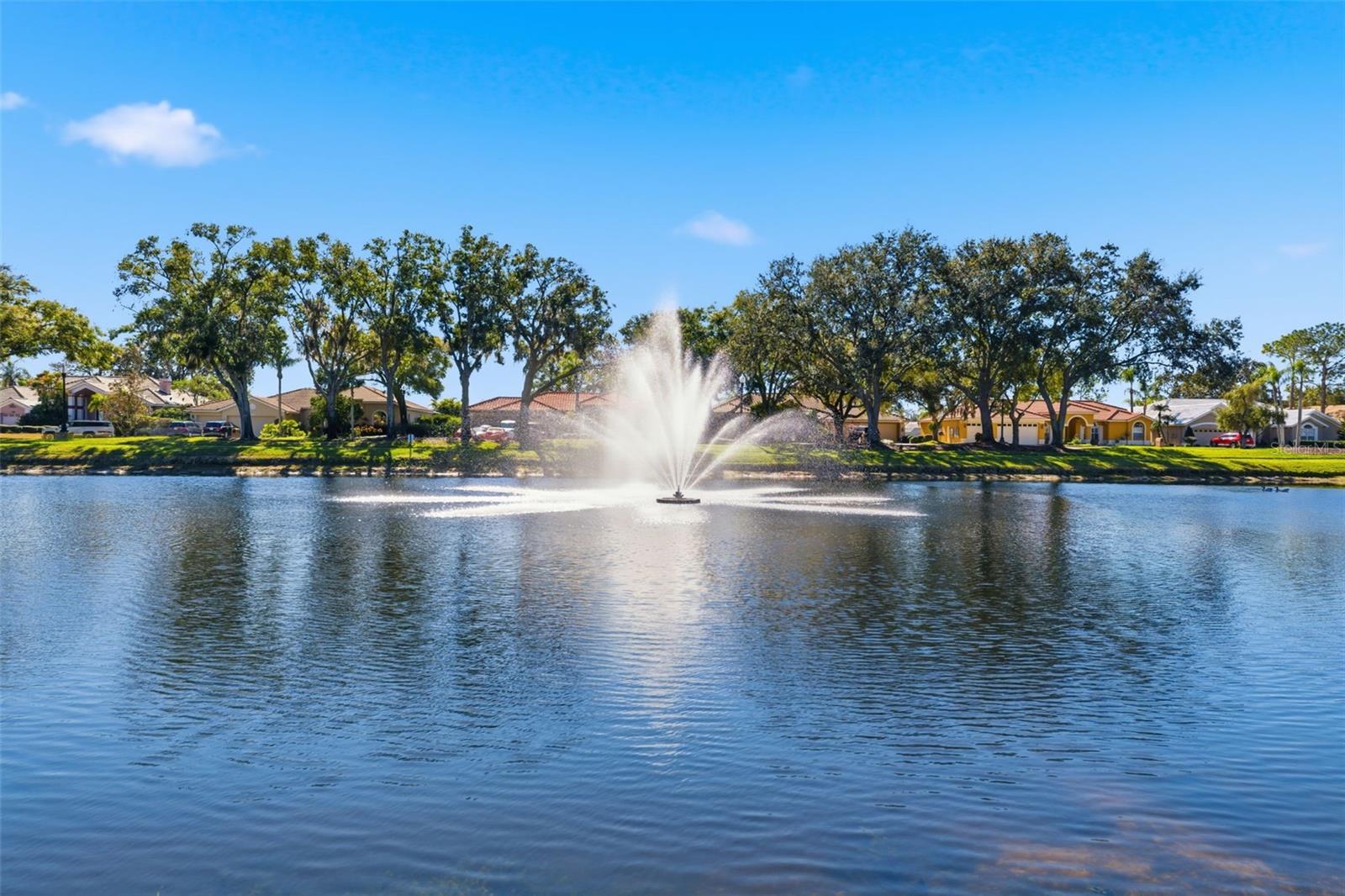 Image 46 of 74 For 3150 Sterling Street