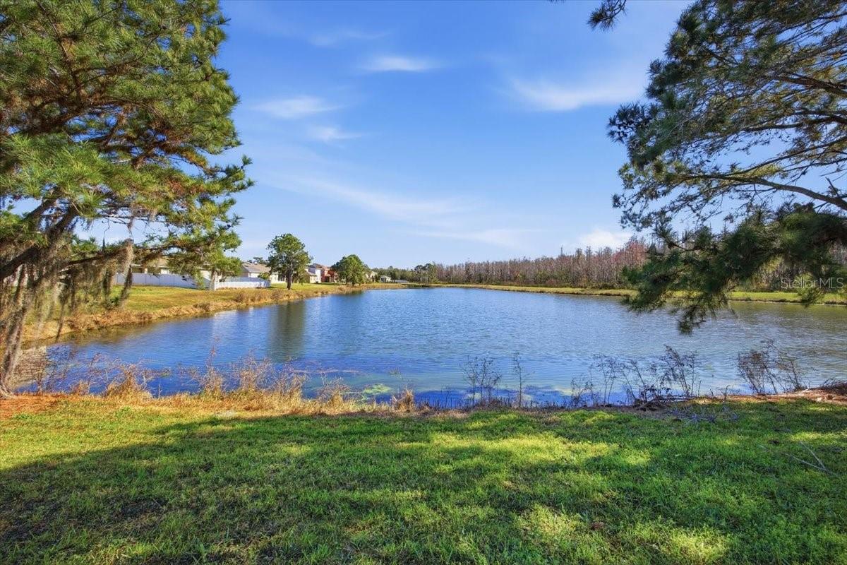 Image 38 of 38 For 3481 Marshfield Preserve Way