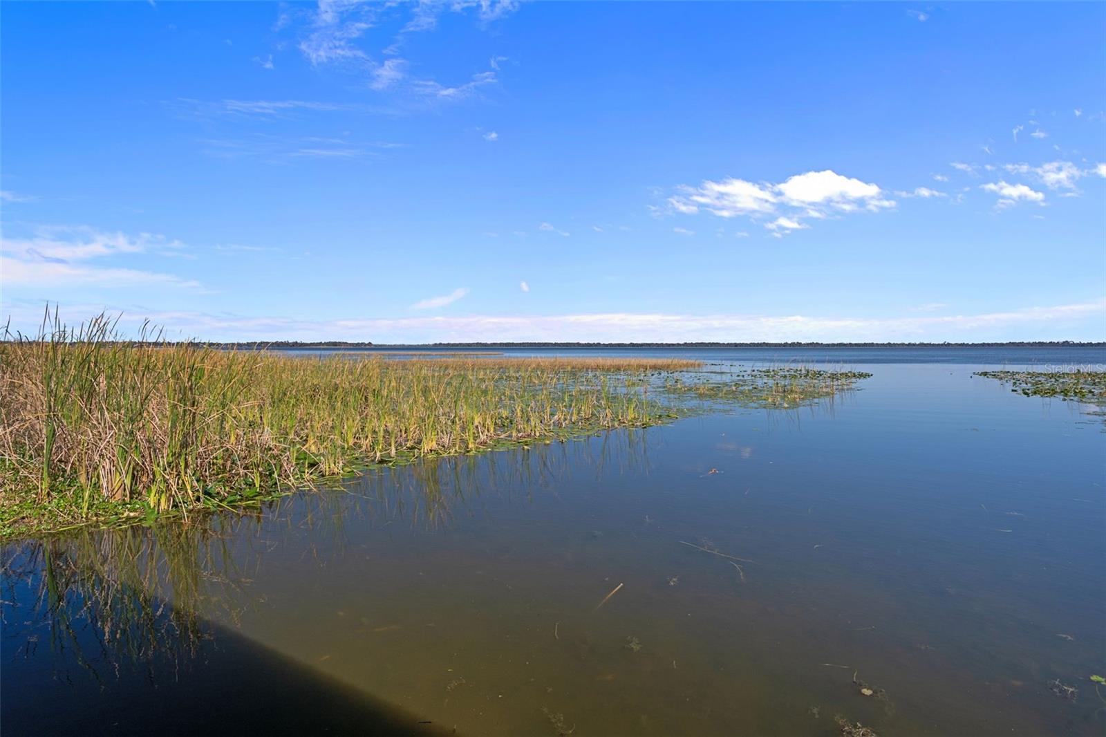 Image 70 of 100 For 4300 Timberlane Road