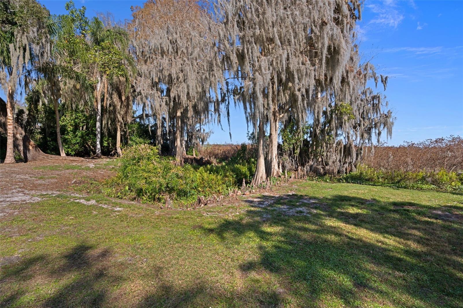 Image 84 of 100 For 4300 Timberlane Road