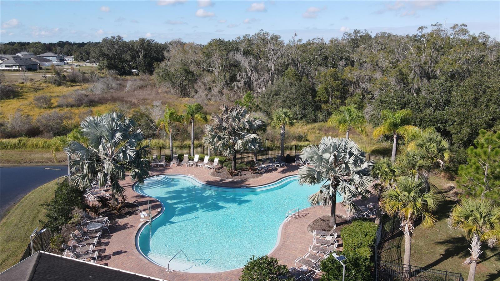 Listing photo id 26 for 35571 Doveland Drive