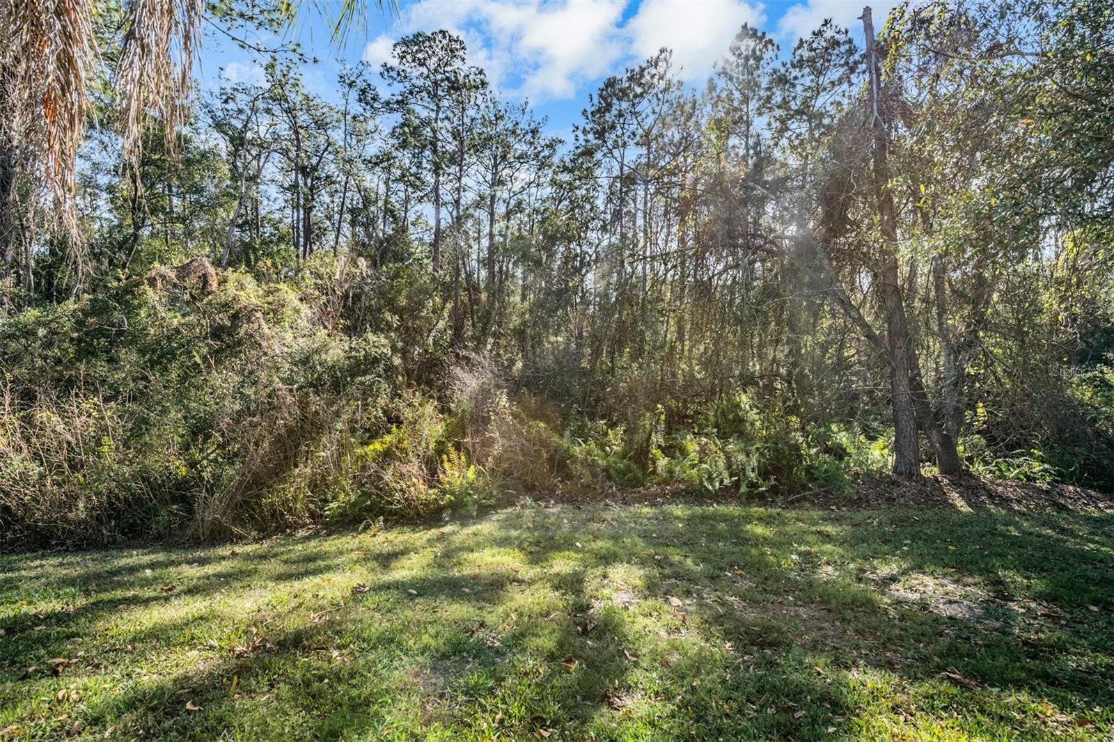 Image 38 of 49 For 19607 Wyndham Lakes Drive