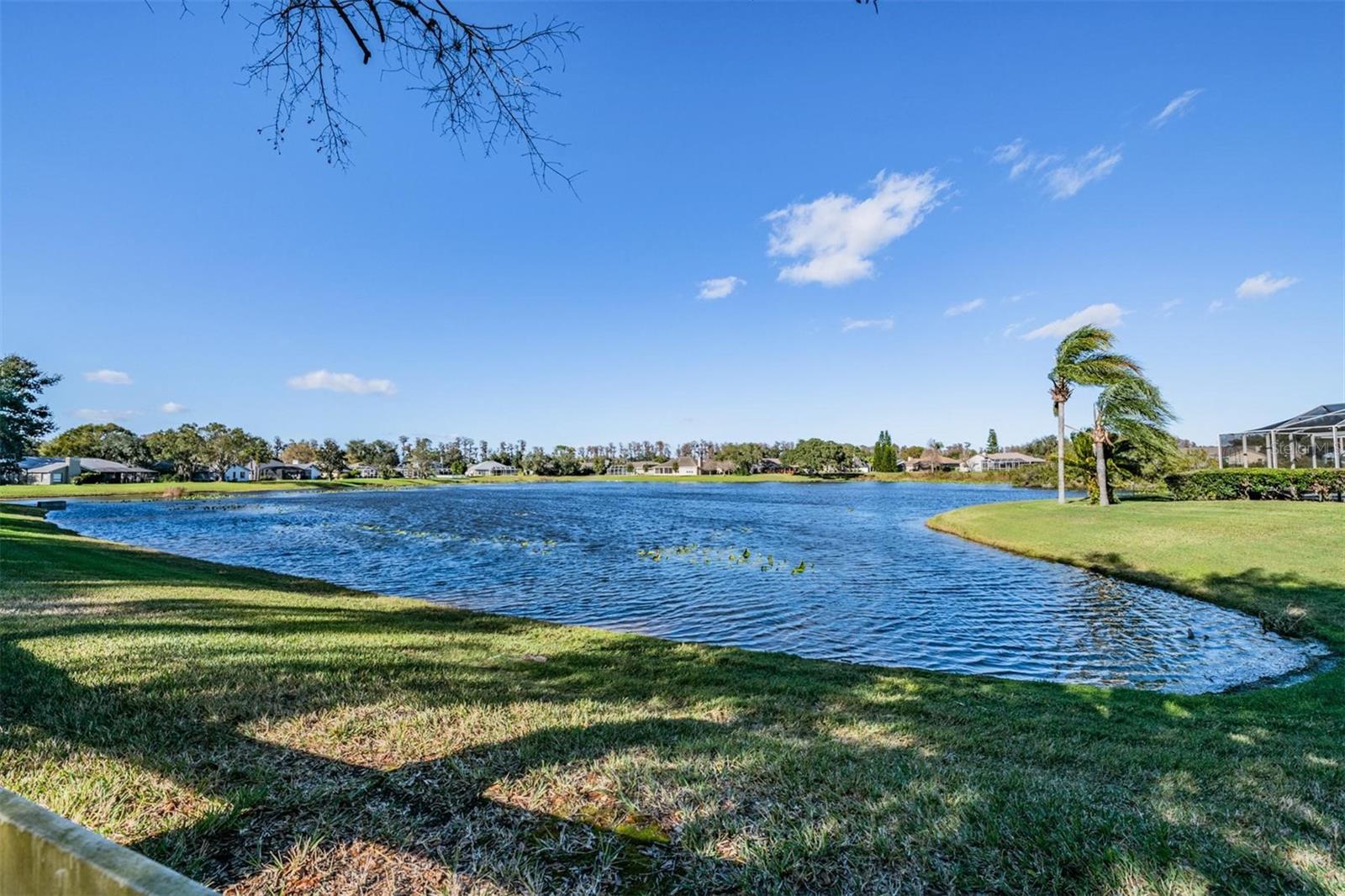 Image 48 of 49 For 19607 Wyndham Lakes Drive