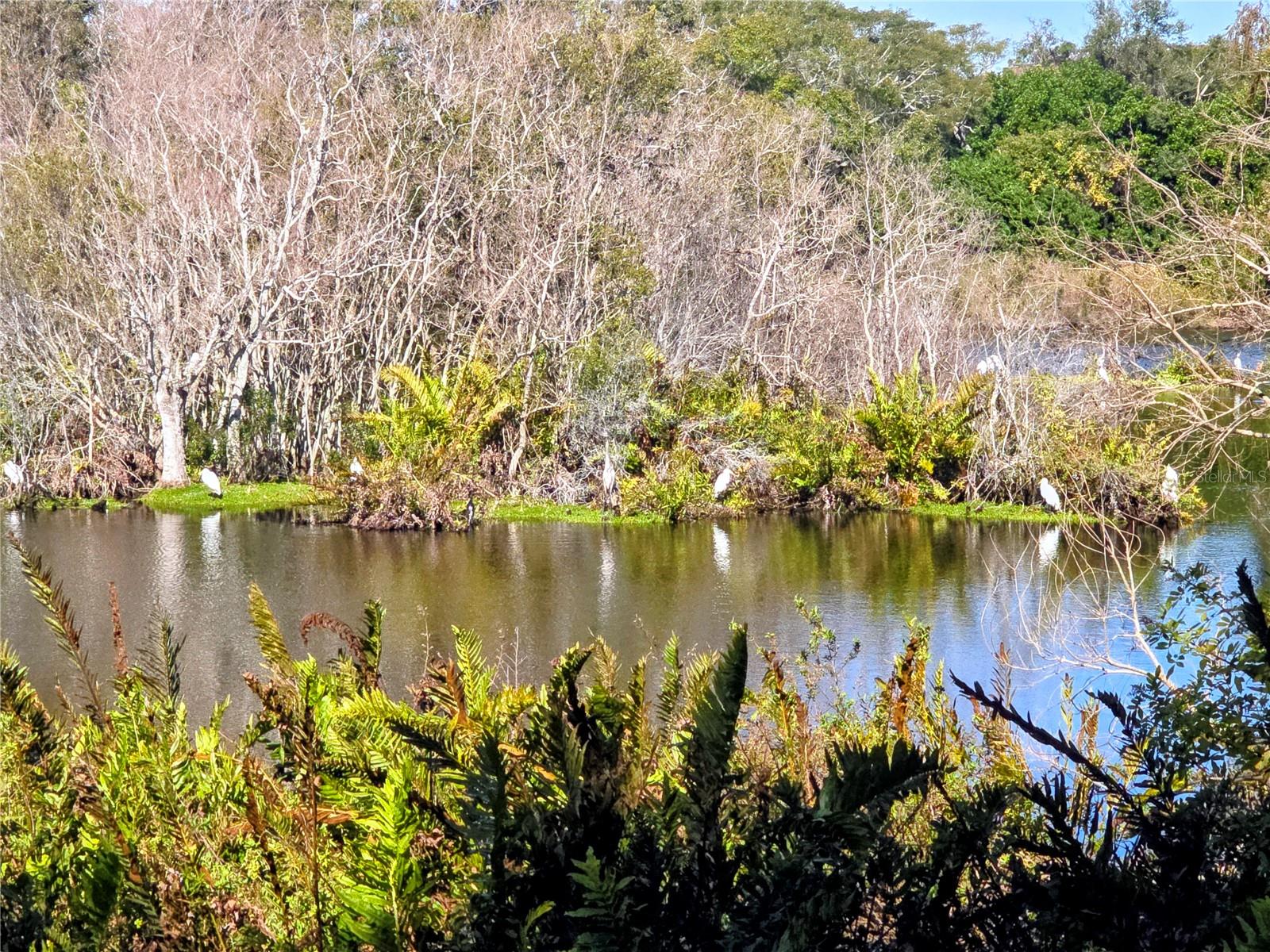 Image 16 of 16 For 742 Arthurs Court