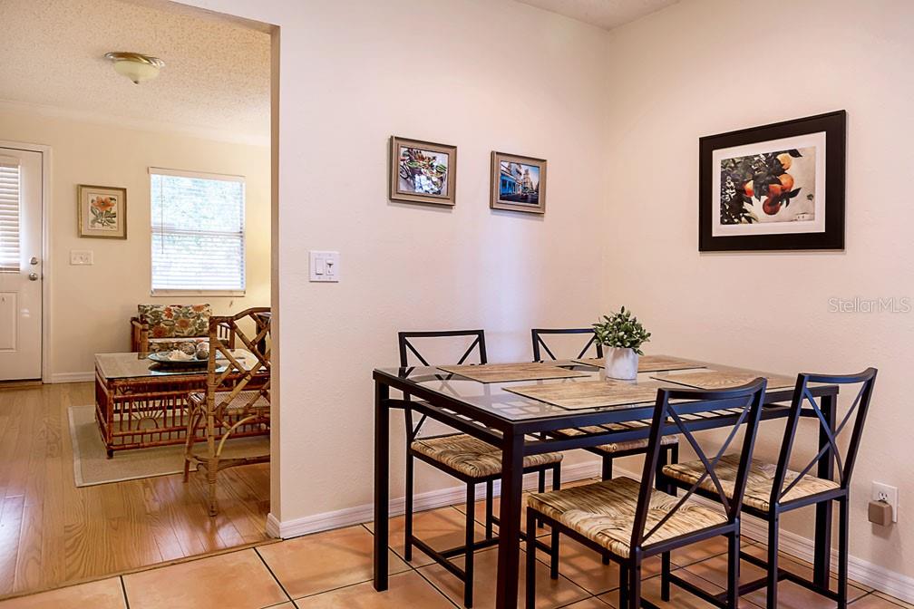 Image 12 of 21 For 213 Alfred Street