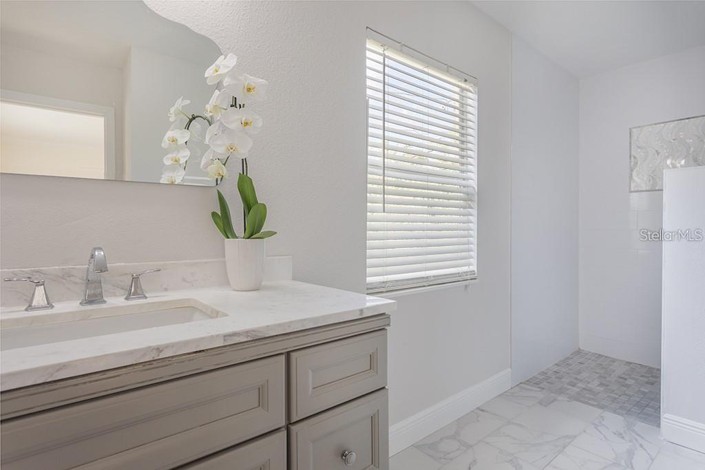 Image 14 of 21 For 213 Alfred Street