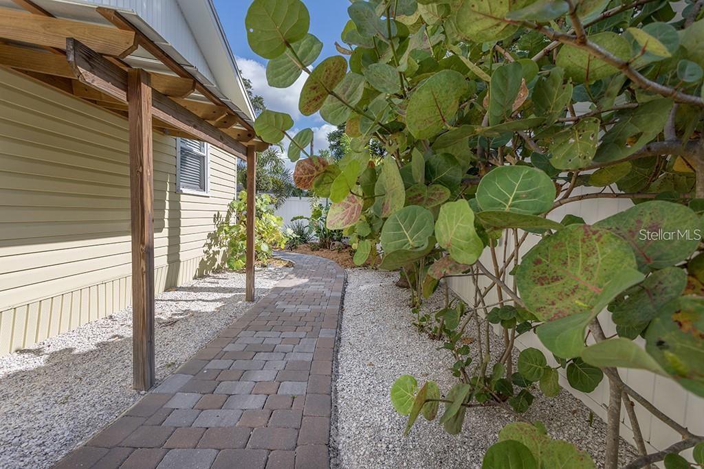 Image 20 of 21 For 213 Alfred Street