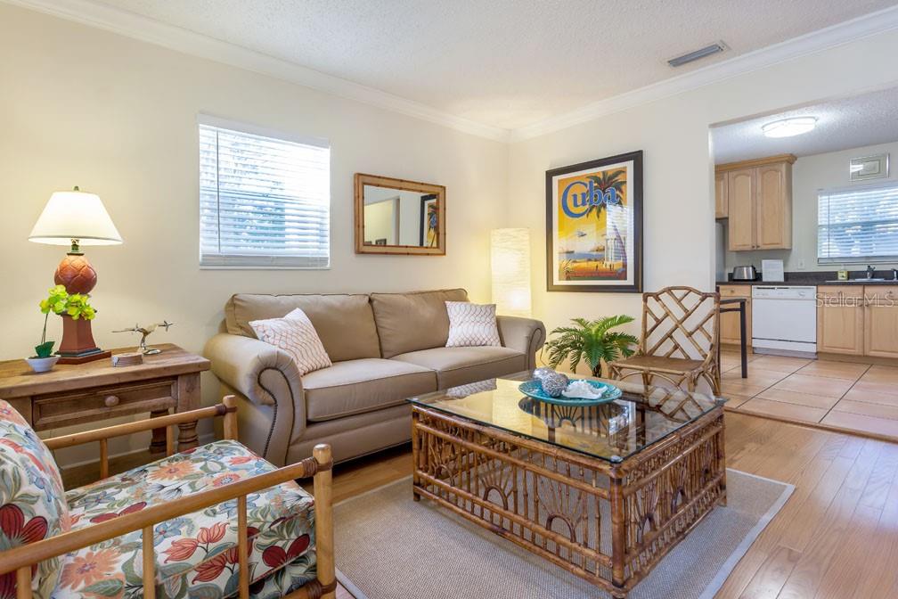 Image 6 of 21 For 213 Alfred Street