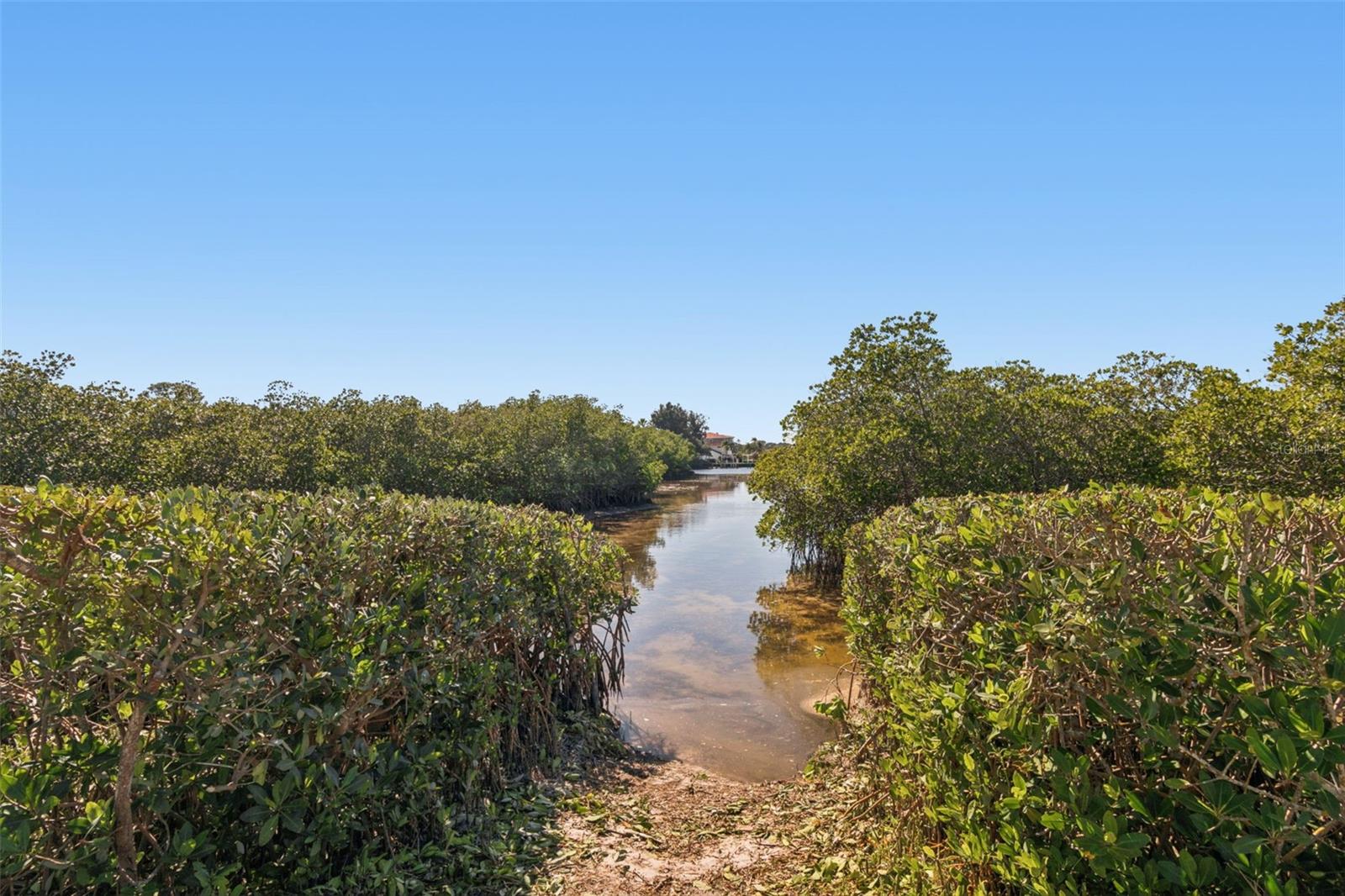 Image 76 of 80 For 1652 Citrine Trail