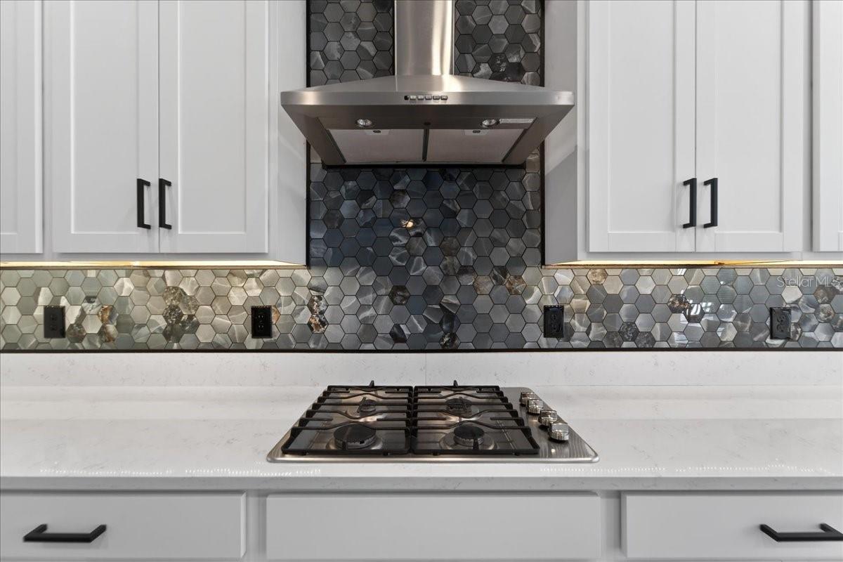 Listing photo id 71 for 17173 Scuba Crest Street