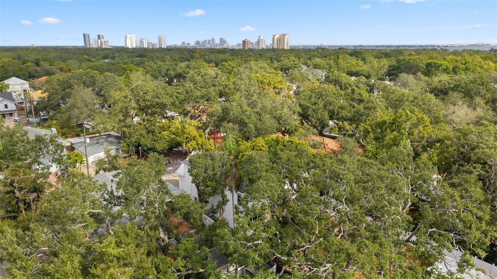 Image 47 of 55 For 3314 Villa Rosa Street