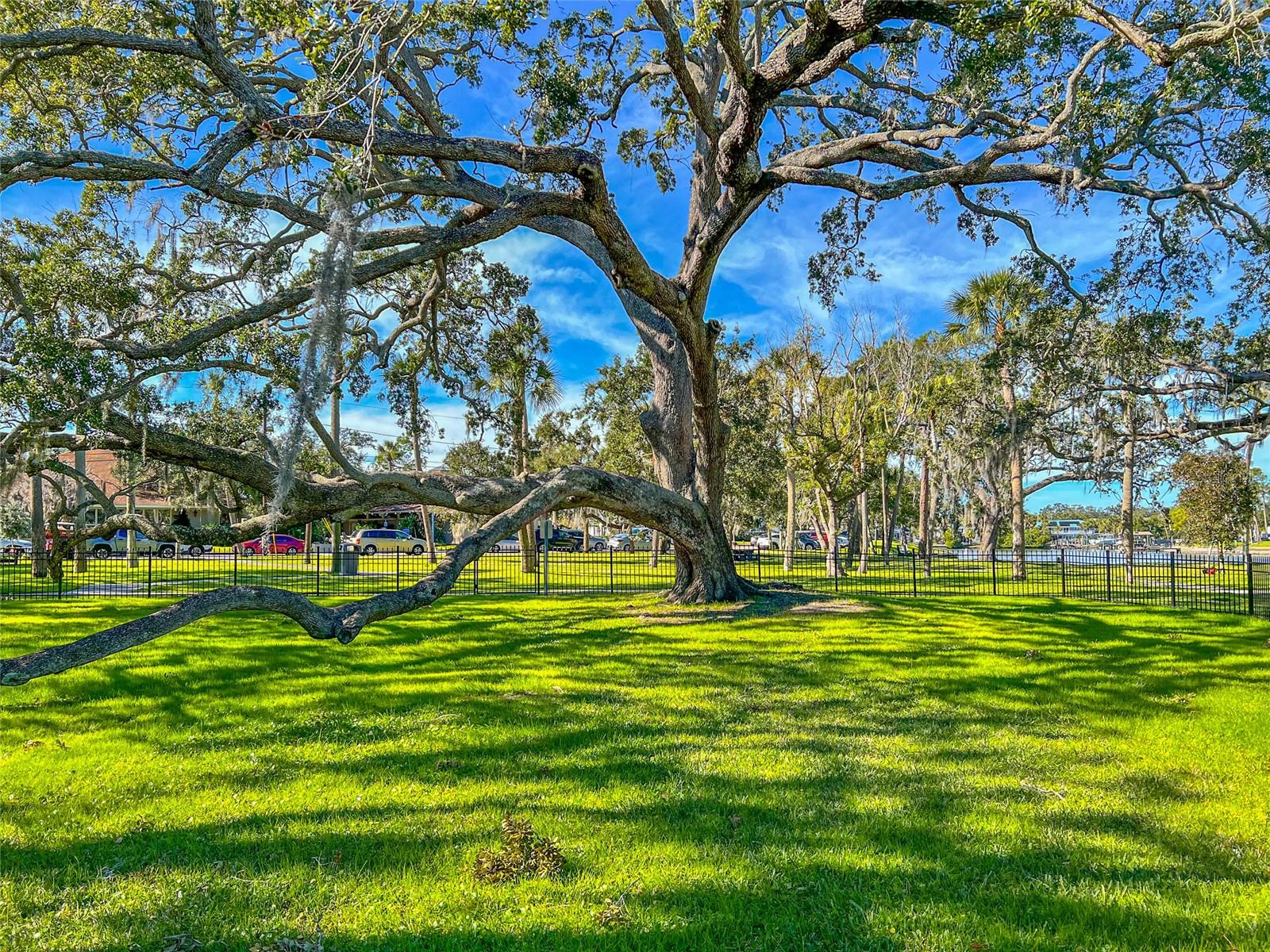 Image 67 of 77 For 463 Bayou Village Drive