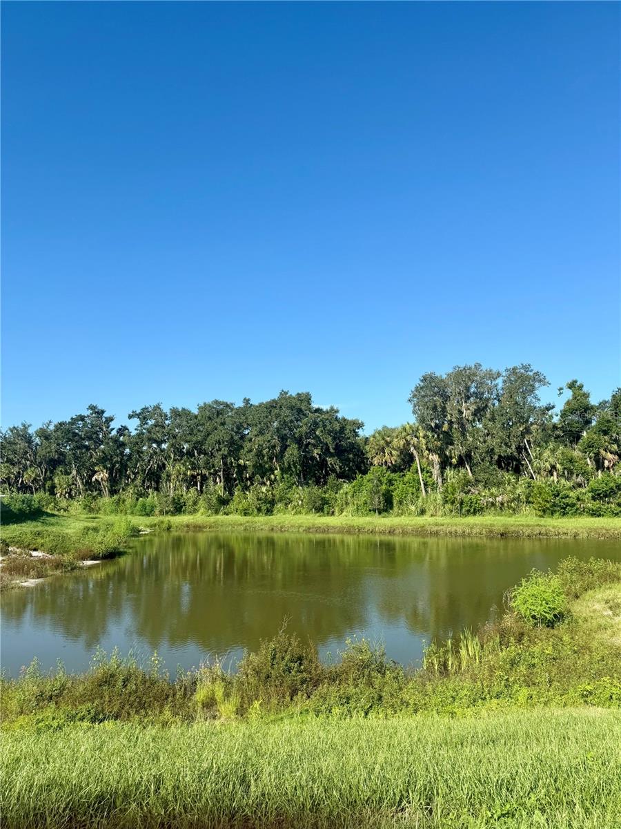 Image 30 of 38 For 8225 Golden Beach Ct